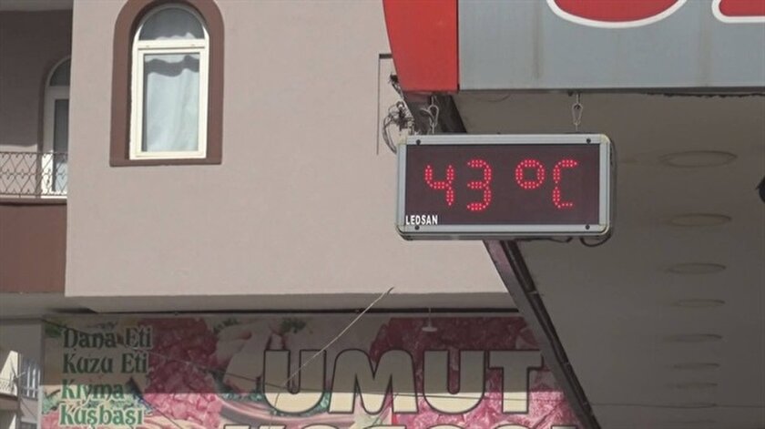 corum hava