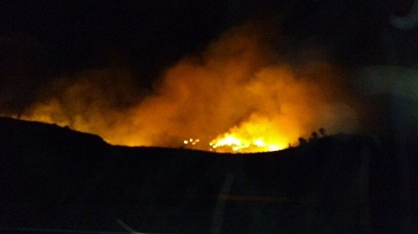 Siirt’te orman yangını haberi