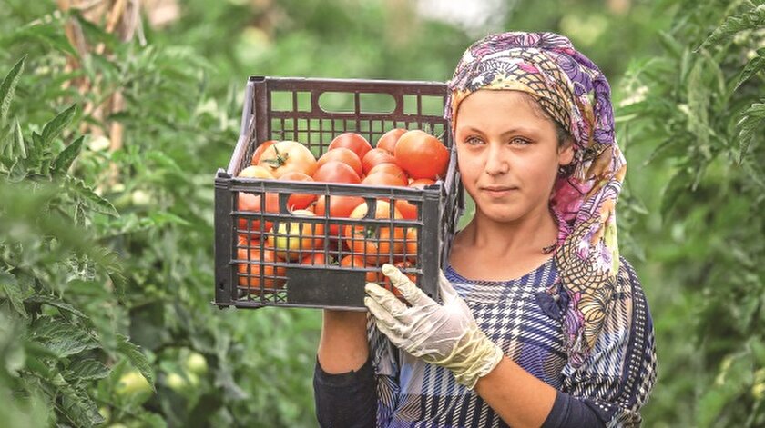 Rusya 1 Aralıkta alıma başlıyor