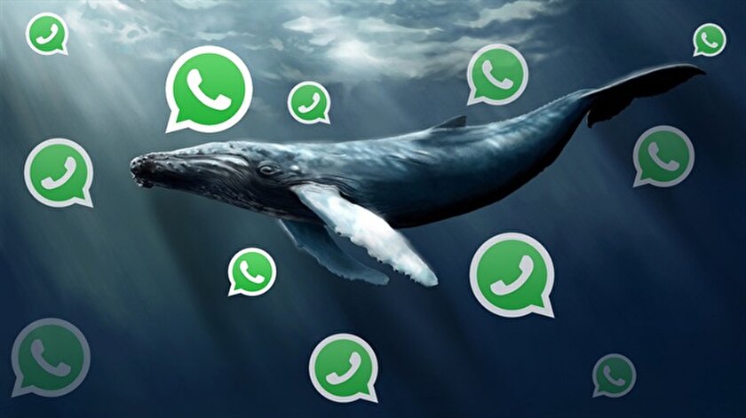 Mavi balina linki Whatsapp ile yayılıyor