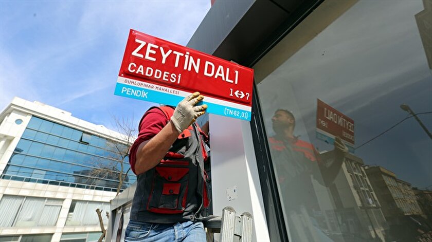 Istanbul Pendik Te Caddeye Zeytin Dali Adi Verildi