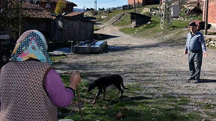 Koyu Uyuz Kopekler Basti
