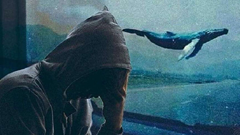 Mavi Balina Nedir Mavi Balina Yuzunden Bir Cocuk Daha Oldu