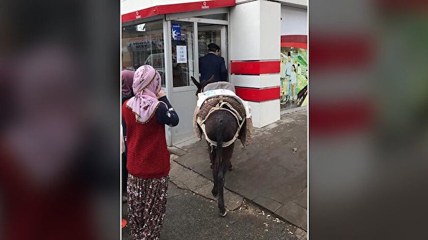 Poşet parası vermemek için markete eşekle gelen adam.