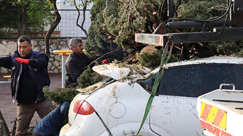 Fırtının devirdiği ağaçlar park halinde araçların üzerine düştü.