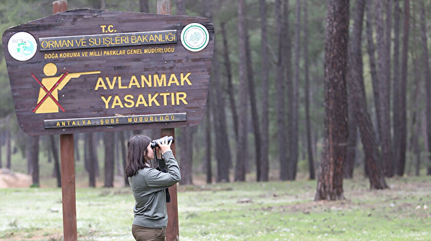 yeni safak