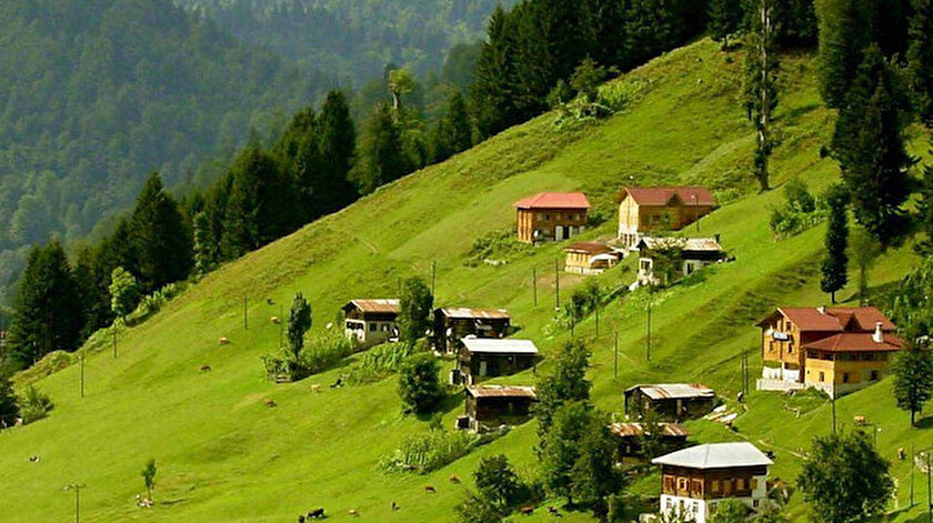 Rize'deki yaylaların eşsiz güzelliğindeki evler.