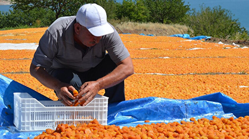 Foto/arşiv