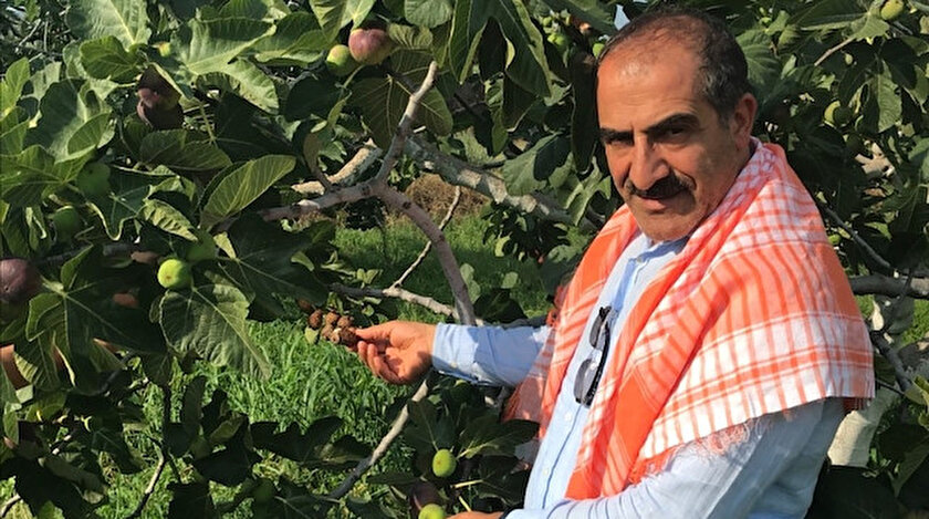 Ege Yaş Meyve Sebze İhracatçıları Birliği Yönetim Kurulu Başkanı Hayrettin Uçak