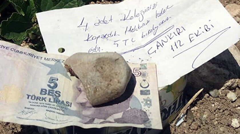 Tarlada bırakılan not ve para.
