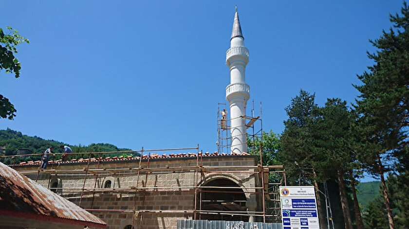Kestani Camisi