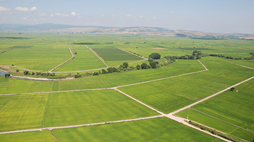Foto/arşiv