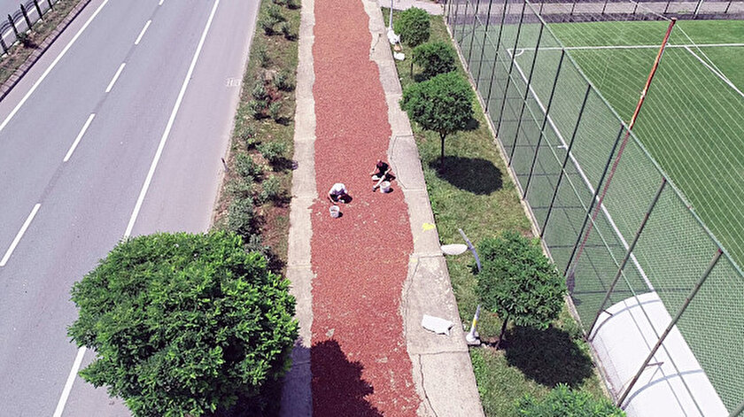 Toplanan fındıklar yol kenarlarında kurutuluyor.