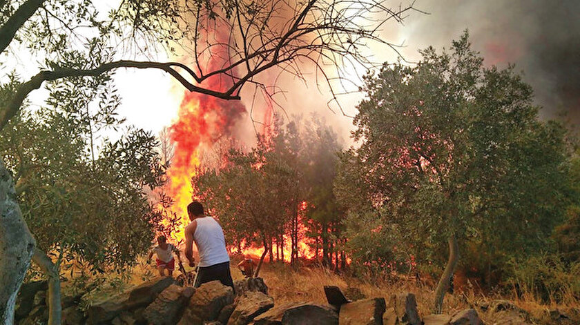 Ormanları PKK yakıyor