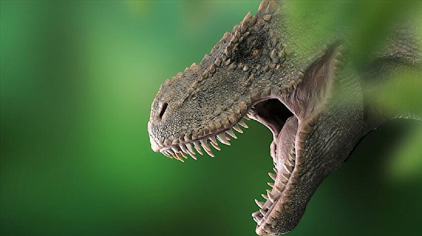 Tyrannosaurus rex