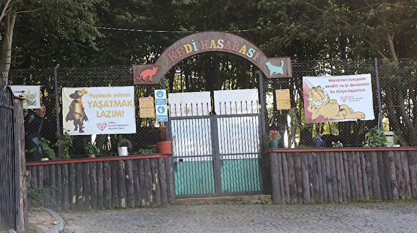 yeni safak