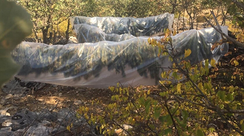 Diyarbakir Son Dakika Haber Lice De 4 Ton 652 Kilo Esrar Ve 184 Bin 900 Kok Hint Keneviri Ele Gecirildi