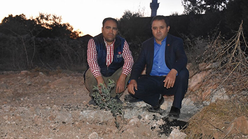 Arazi sahibi asfaltlı yolu kapatıp zeytin fidanı dikti.