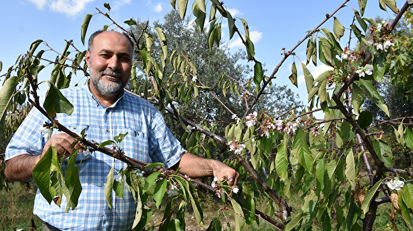 Salim Çetin