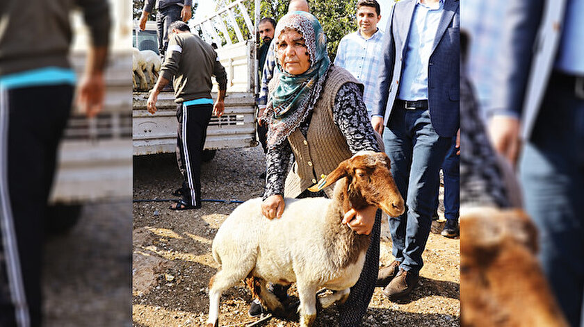 Ayşe Akgül