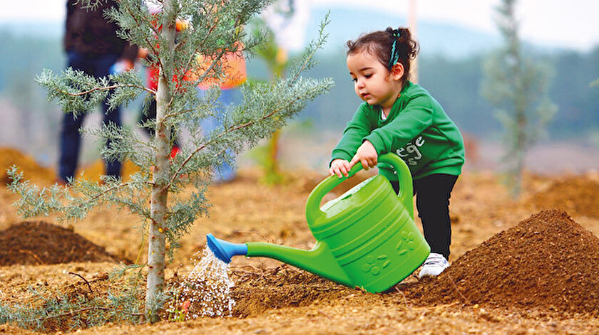 Yesil Rekor