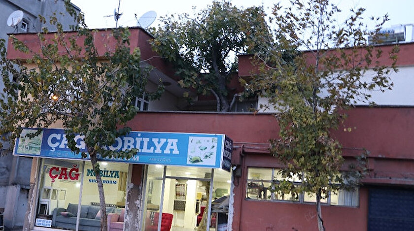 ocagina incir agaci dikti goren bir daha bakiyor yeni safak