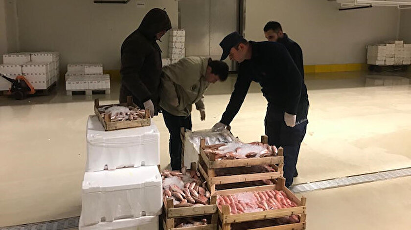 Yetkililer, 20 ton su ürününe el koydu.