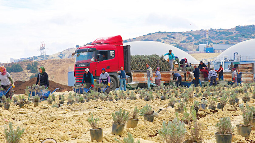 Burdur