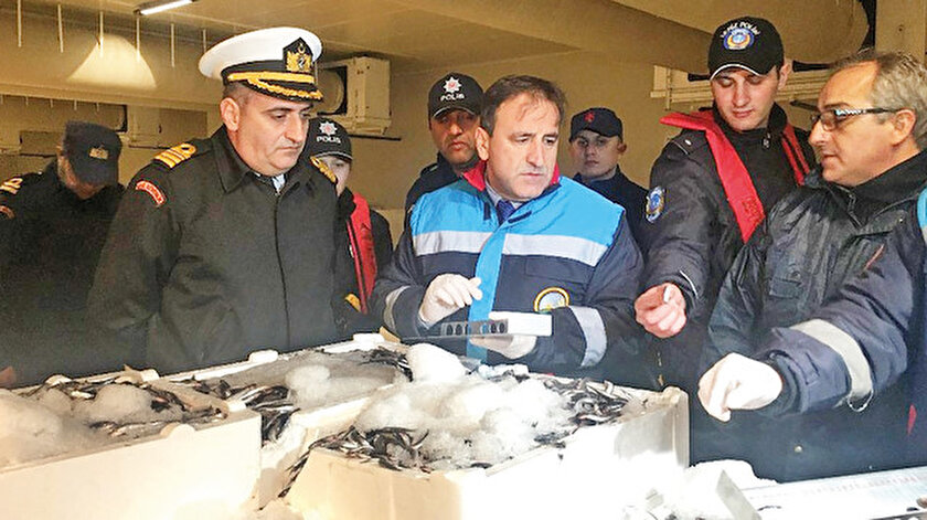 Balıklar özel cetvellerle ölçüldü.