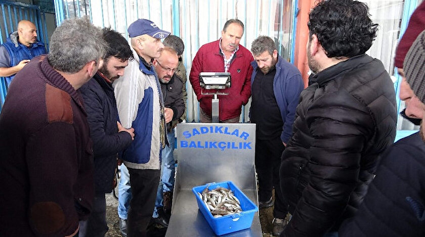 Trabzon balık halinde tezgahlarda az miktarda yerini alan hamsinin kilosu 15-20 TL’den satılıyor.