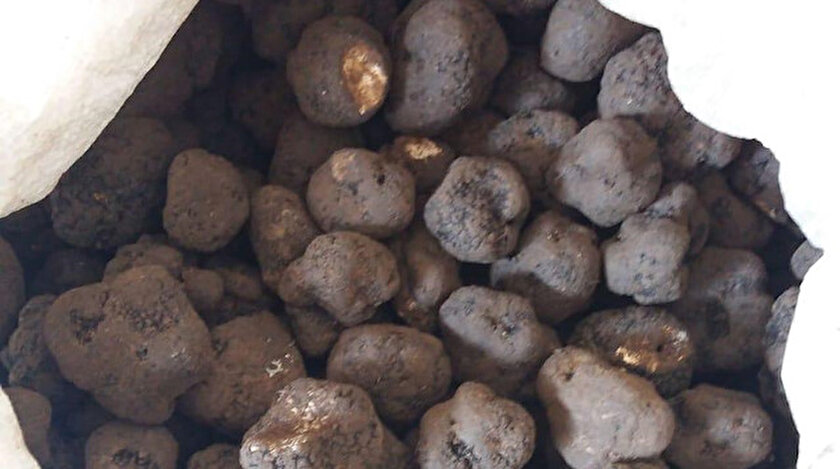 İranlı yolcuların valizlerinden 83 kilo trüf mantarı çıktı.