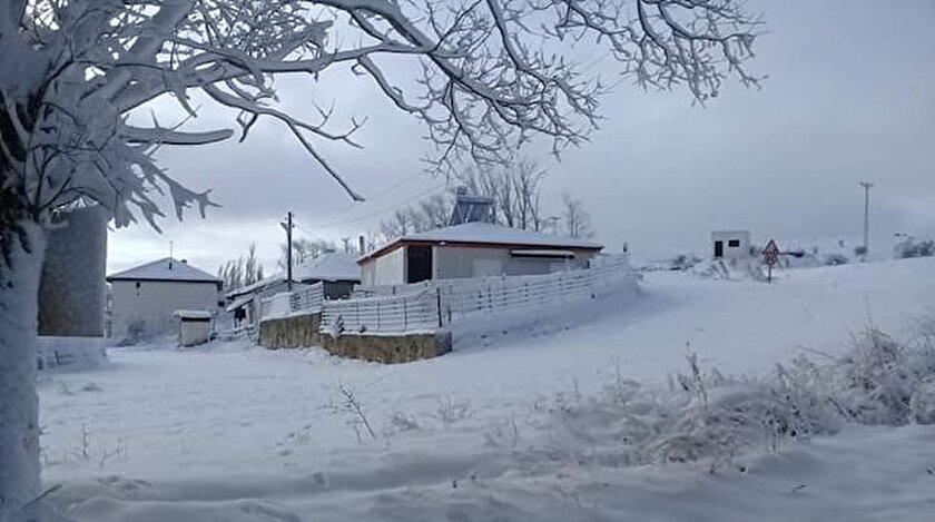Arşiv