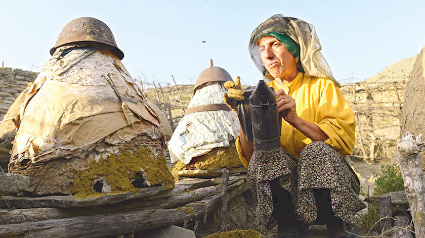 Honeyland