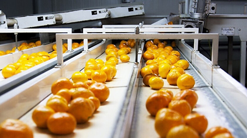 Mandarin ihracatı bu yılın ocak ayında yüzde 53 arttı