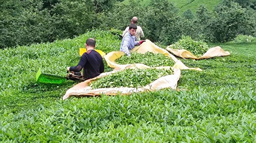 Foto/arşiv