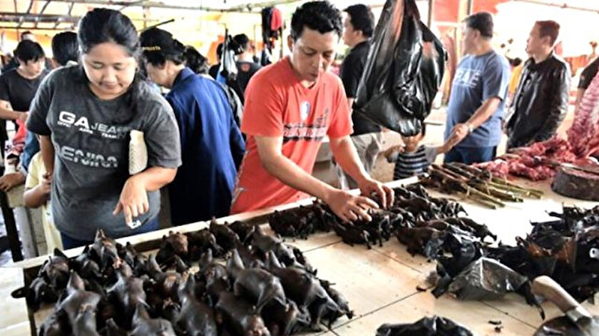 cinliler akillanmiyor yasaga ragmen vahsi hayvan satisi suruyor yeni safak