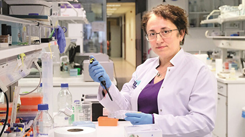 Prof. Nesrin Özören, Sanayi ve Teknoloji Bakanlığı ile TÜBİTAK koordinasyonunda aşı çalışmaları için 7 grup oluştuğunu, birbirinden bağımsız olan projelerin ortak malzeme ve transgenik hayvan çalışmalarında koordineli çalışacağını, aşı adayının virüsle test edilmesi deneylerinin ise biyogüvenlik üçüncü seviye laboratuvarı bulunan merkezlerden birinde yapılacağını söyledi.