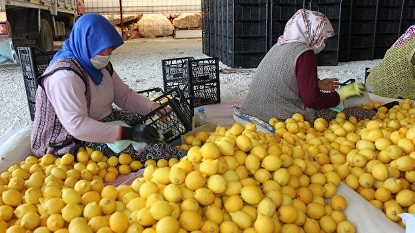 Foto/arşiv