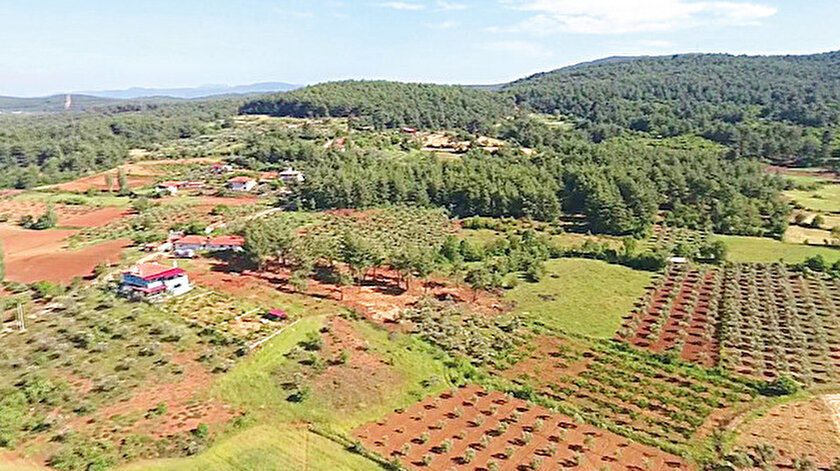 Mustakil Ev Musterisi Yeni Normali Bekliyor Yatirimcilar Arsa Alimina Yoneldi