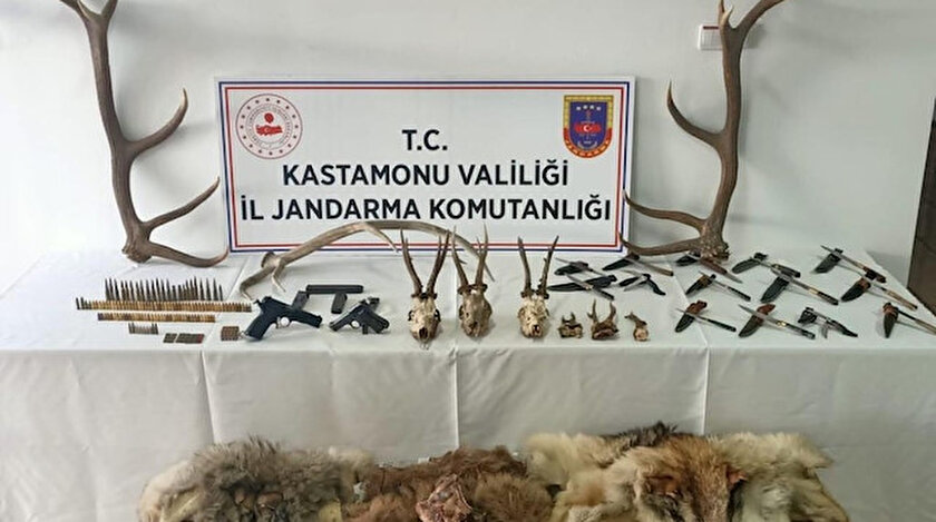 Hayvanları öldürenlere ceza kesildi.