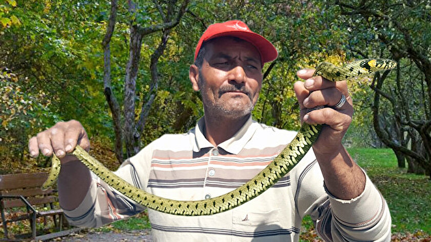 yilan avcisi bir metresini 300 liraya