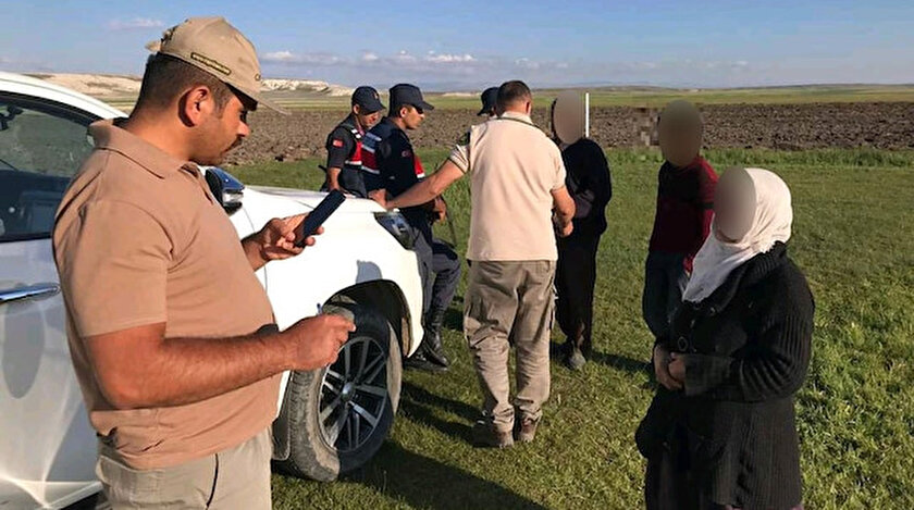 Yapılan çalışmalarda toplanması yasak olan salebi toplayan 5 kişi suçüstü yakalandı.
