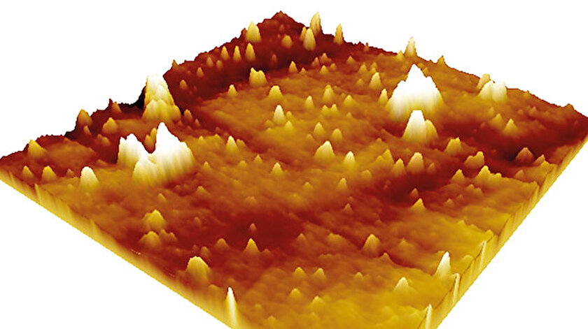 Koronavirüsün görüntüsü