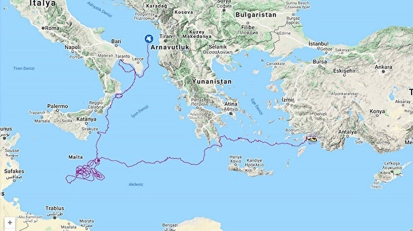 Caretta carettayı uydudan izlediler: 5 bin 500 kilometre yol aldı