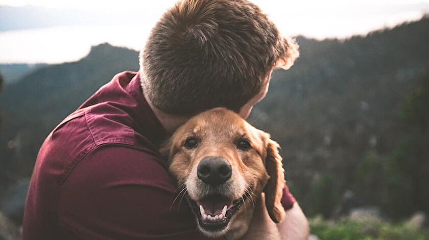 DNA araştırmaları insan ile köpek arasındaki dostluğunu kanıtladı