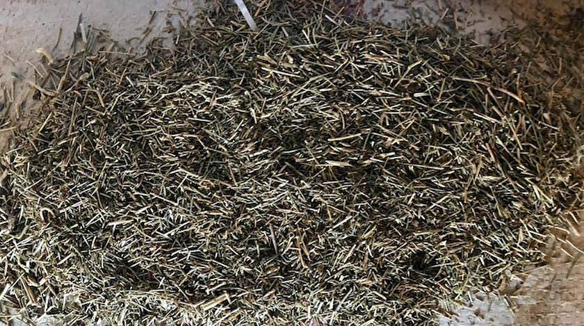 Kimyon ve çemen tohumu dendi bitkisel dökündü çıktı