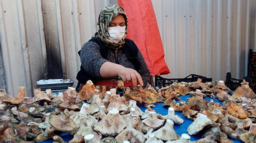 Aydin Haberleri Havalar Kurak Gidince Mantar Fiyatlari Yuzde 100 Zamlandi