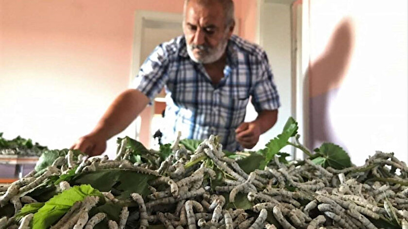 Bakan Pakdemirli müjdeyi verdi: Yüzde 100 hibe verilecek