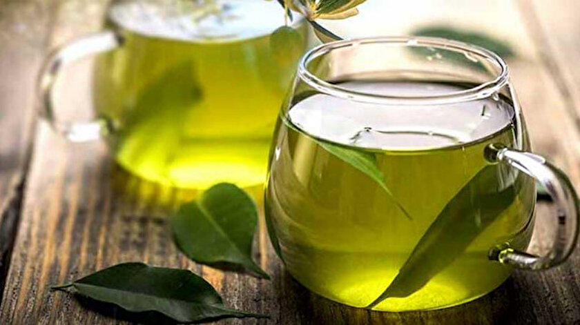 Zeytin Yapragi Cayi Faydalari Nelerdir Nelere Iyi Gelir
