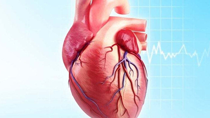 Kalp krizi sonrası oluşan deformasyon yüzde 98 oranında onarılabilecek